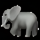 Elephant Ride1650373361.jpg